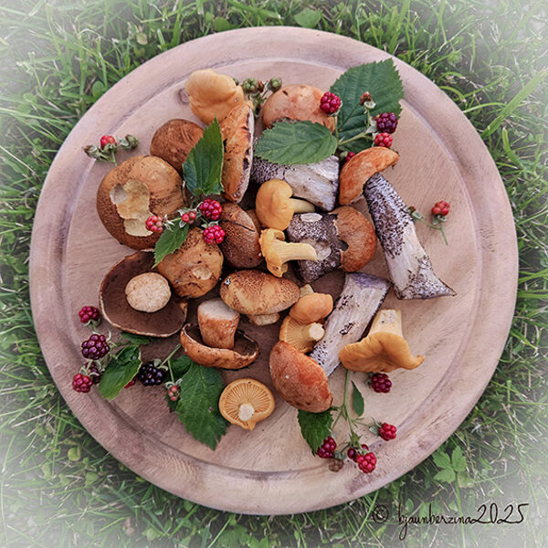 Rudens veltes gardēžiem