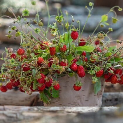 Vasaras smaržas un garšas buķete
