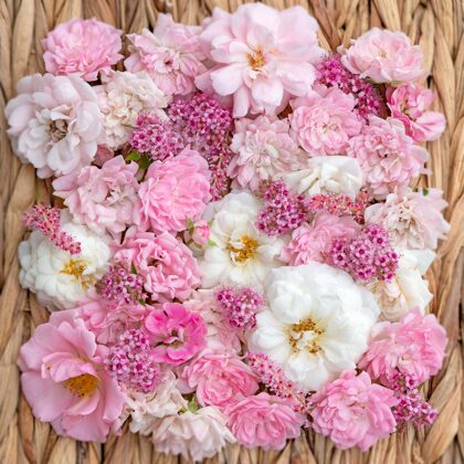 Ziedu raksts- jūlijs